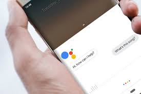 google music search