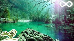 music for sleeping relaxing sleep music